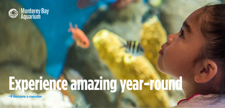 monterey-bay-aquarium