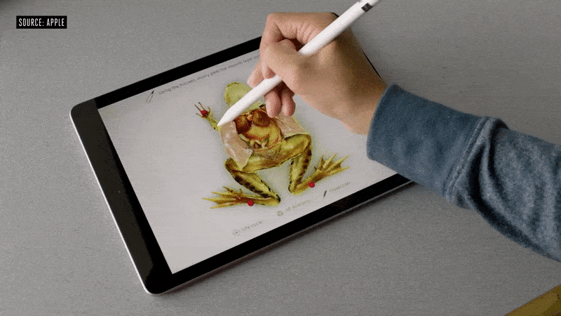 froggipedia-ar-app-matters-next