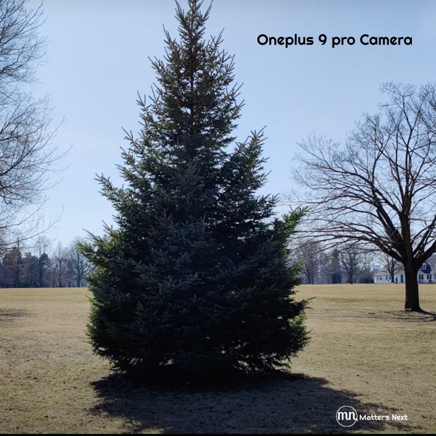 one plus 9 pro natural colors